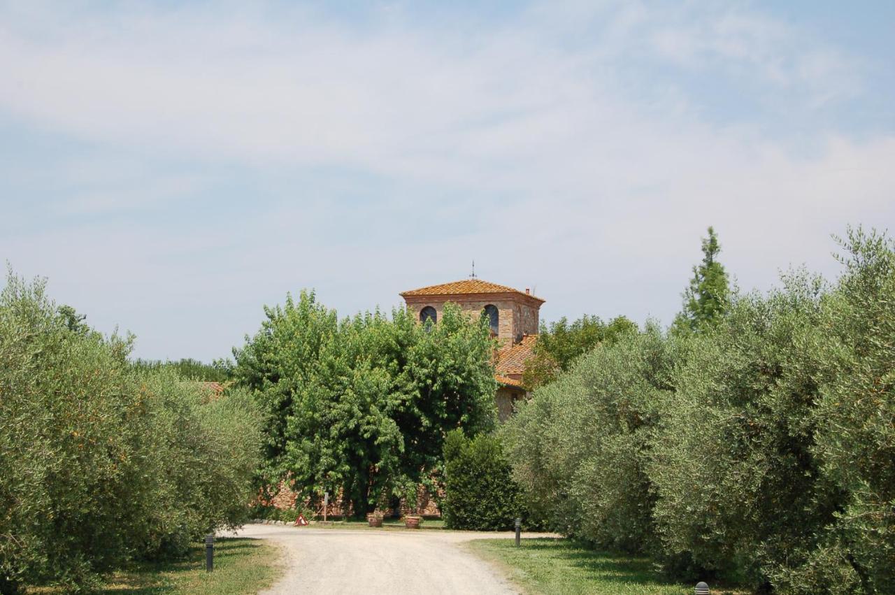 Agriturismo Il Selvino Terricciola Ngoại thất bức ảnh