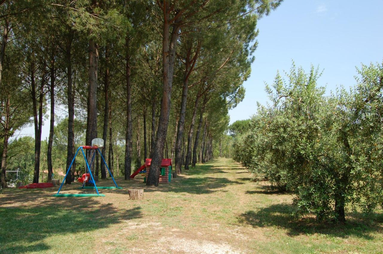 Agriturismo Il Selvino Terricciola Ngoại thất bức ảnh