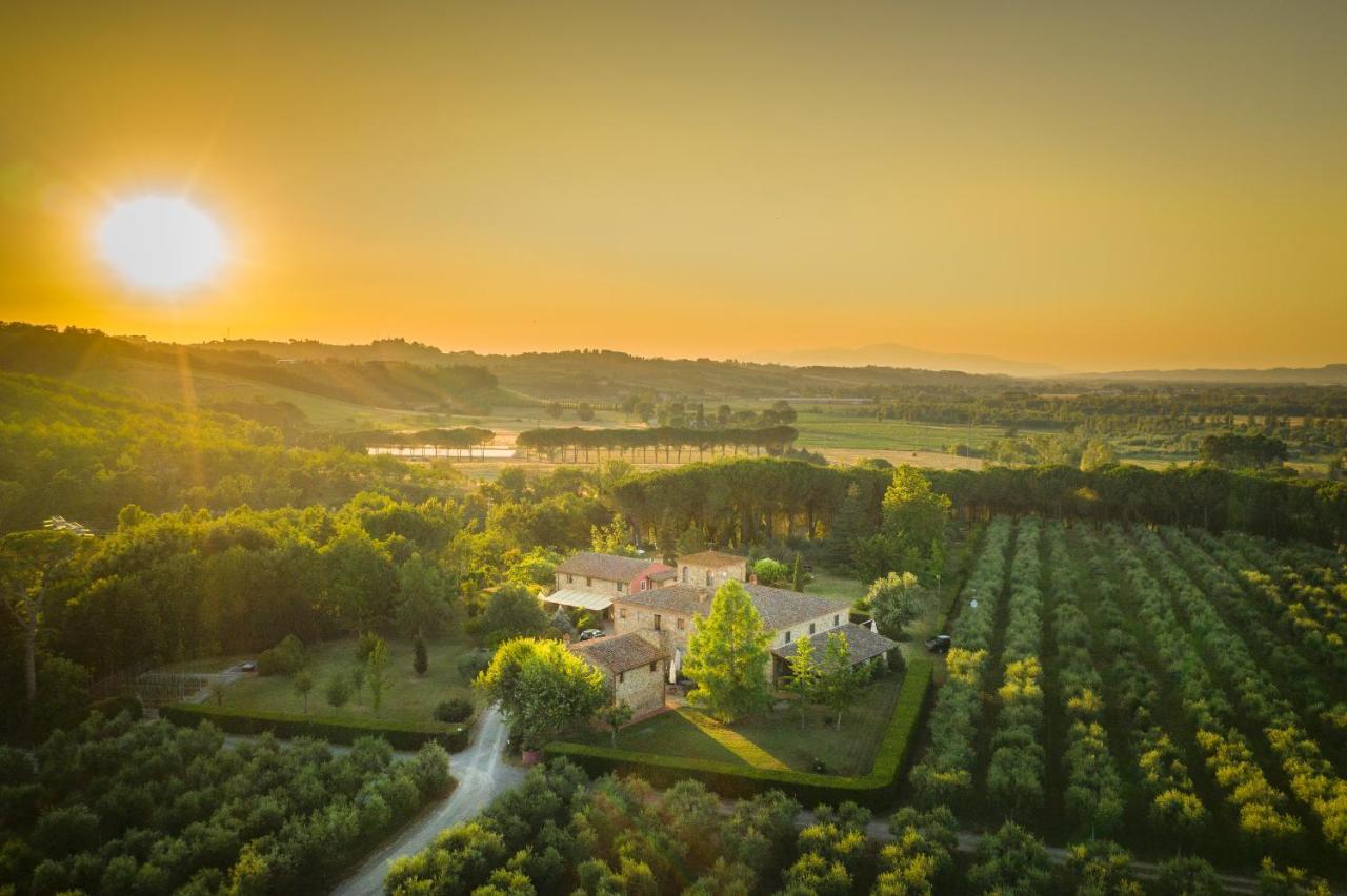 Agriturismo Il Selvino Terricciola Ngoại thất bức ảnh