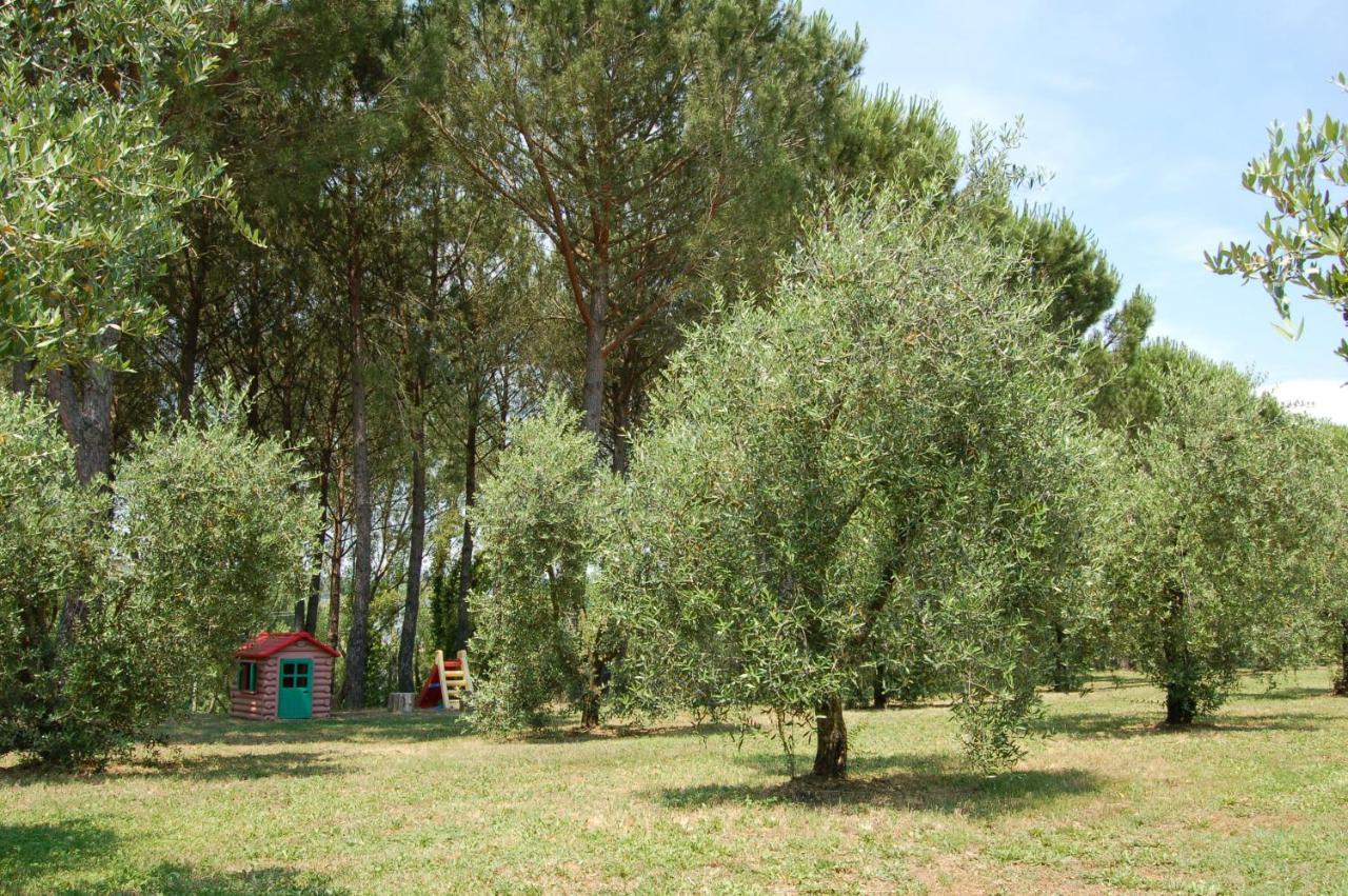 Agriturismo Il Selvino Terricciola Ngoại thất bức ảnh