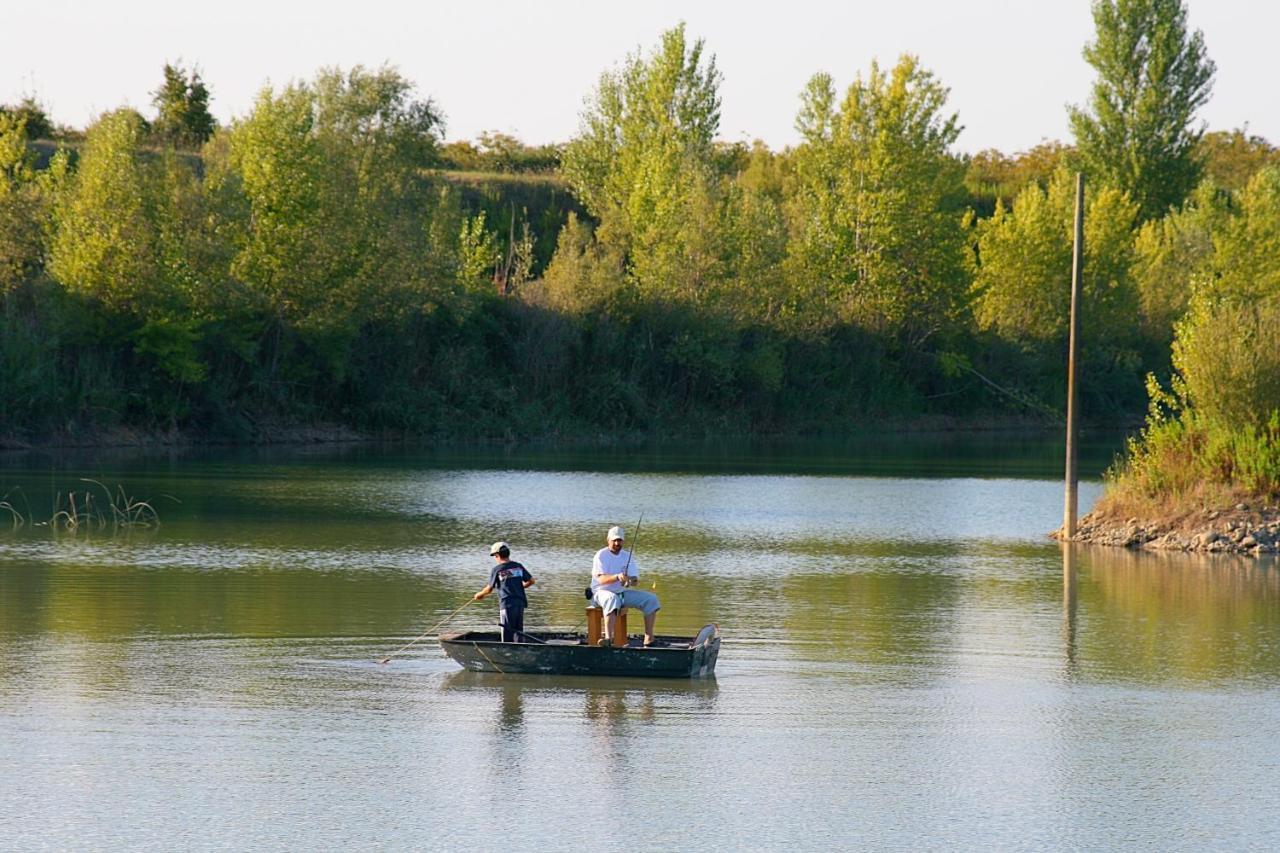 Agriturismo Il Selvino Terricciola Ngoại thất bức ảnh