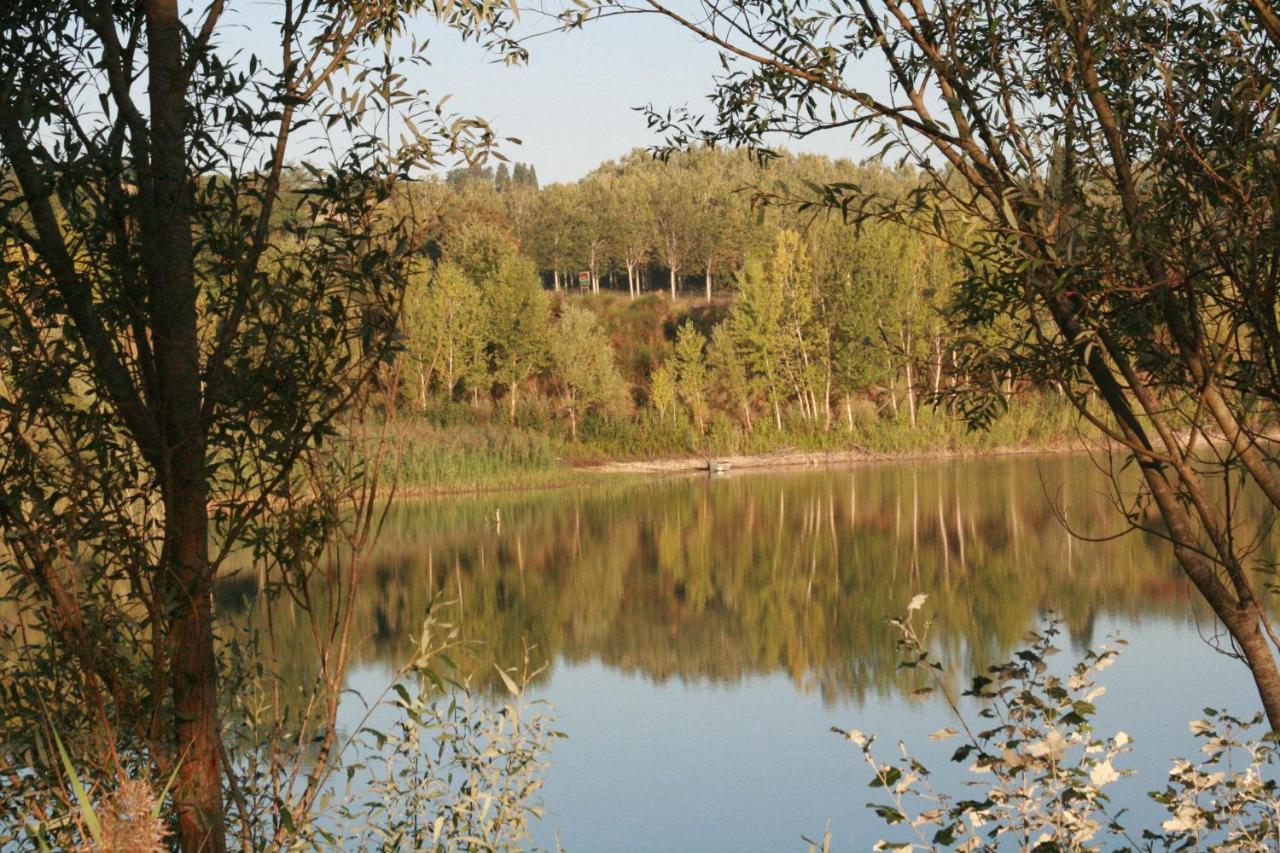 Agriturismo Il Selvino Terricciola Ngoại thất bức ảnh